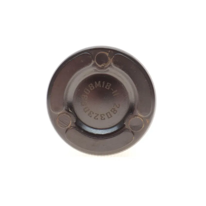 Поршень супорта (заднього) Jeep Cherokee 08-/Wrangler III 07-/Dodge Nitro 06-12 (48x49.5mm) (TRW)