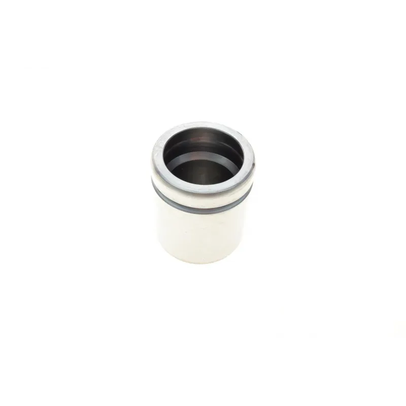 Поршень супорта передній FRENKIT P485502 для Ford Fiesta 1999-2003, Mini 2001-2007 (48x55.5mm, ATE)