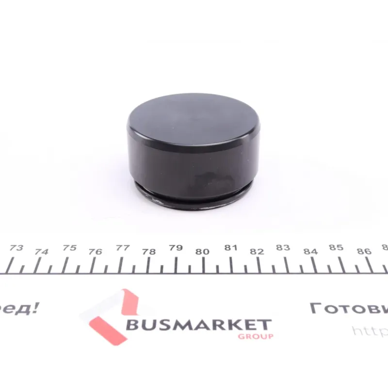 Поршень супорта переднього FRENKIT P573102 для Mercedes-Benz C-Class W203, CLK C209, SLK R171 (57x31mm)