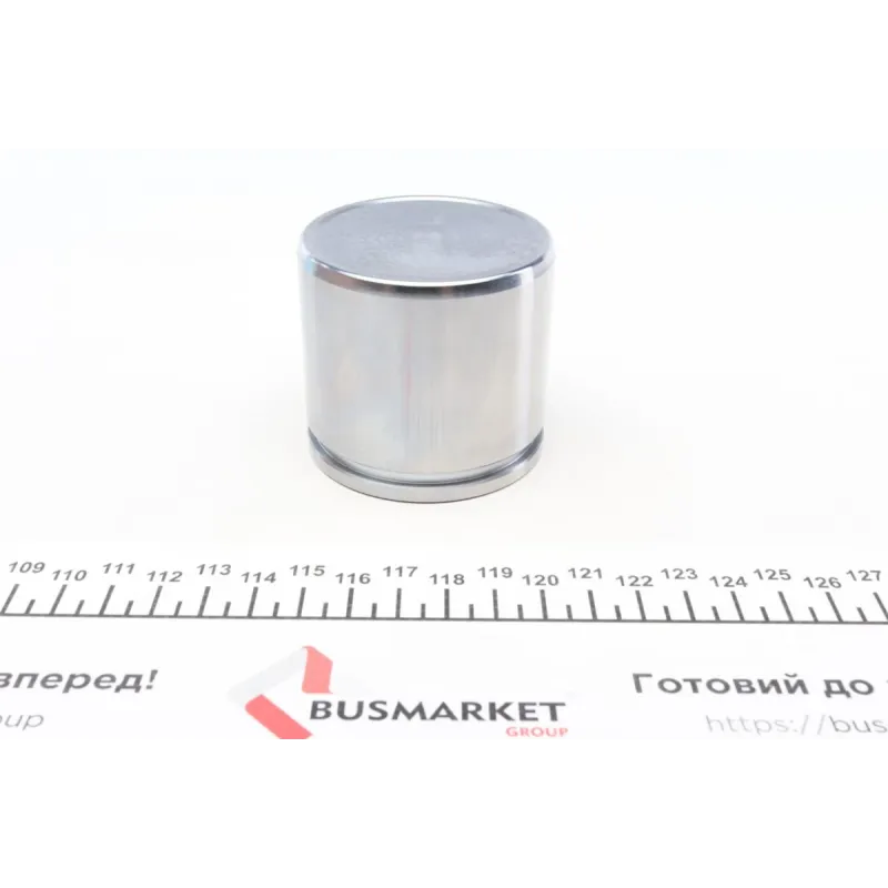 Поршень супорта (переднього) VW Passat 08-14 (60x55mm) (TRW)