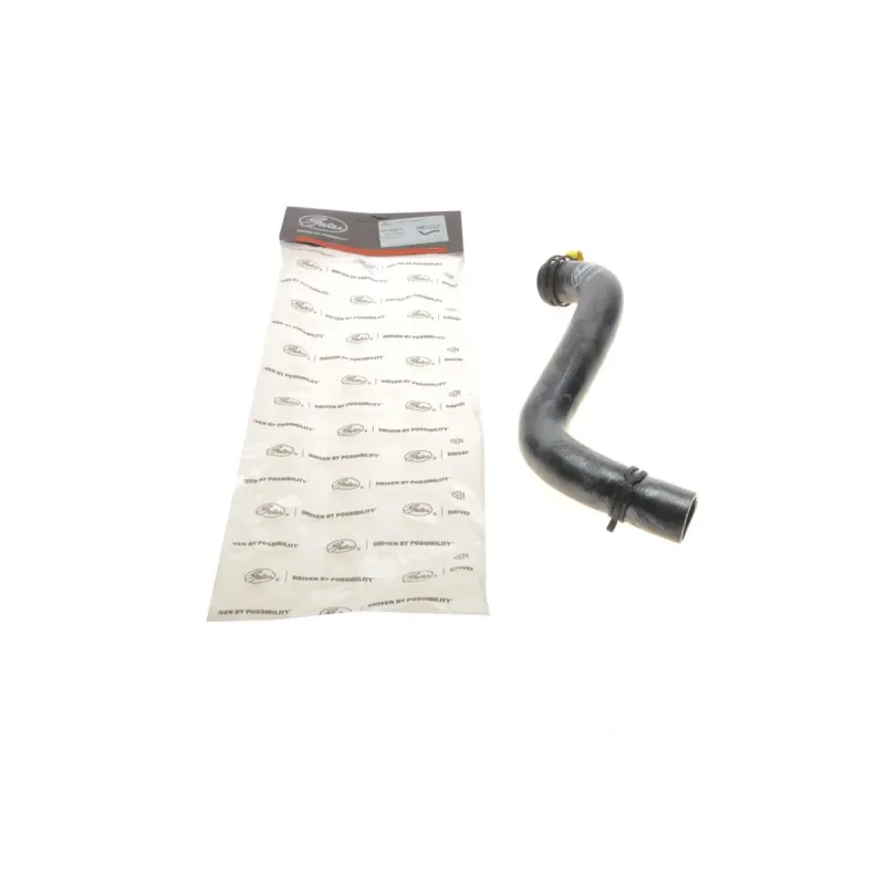 Патрубок радіатора (нижній) Ford Fiesta 1.25-1.6 16V 01-08 (R)