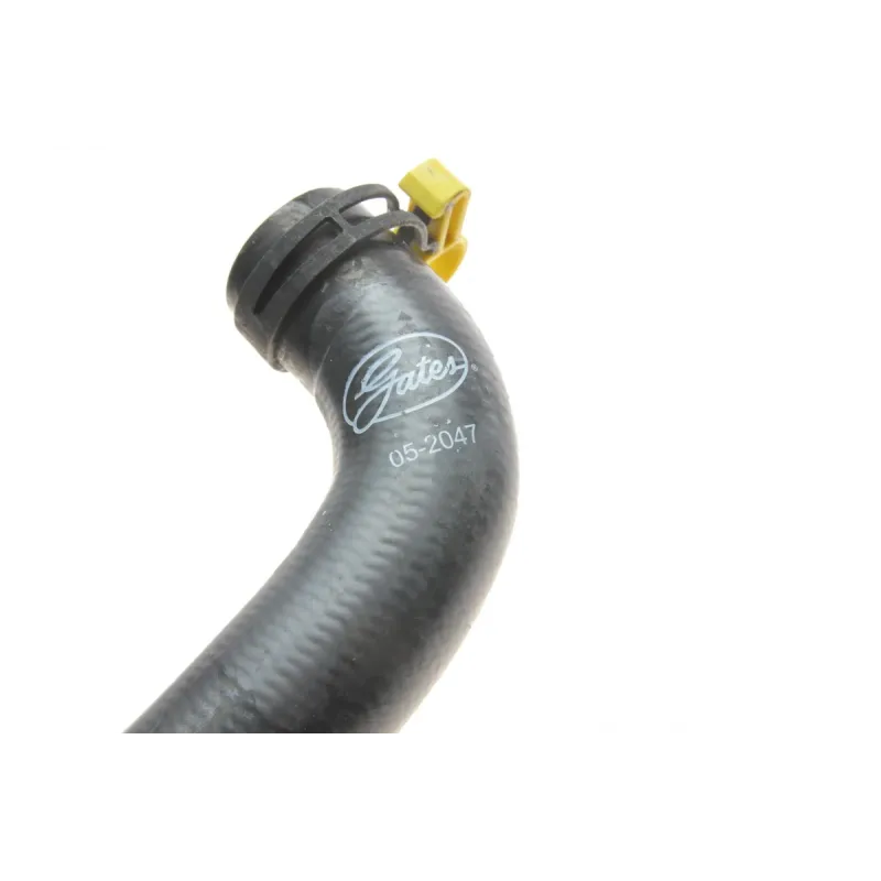 Патрубок радіатора (нижній) Ford Fiesta 1.25-1.6 16V 01-08 (R)