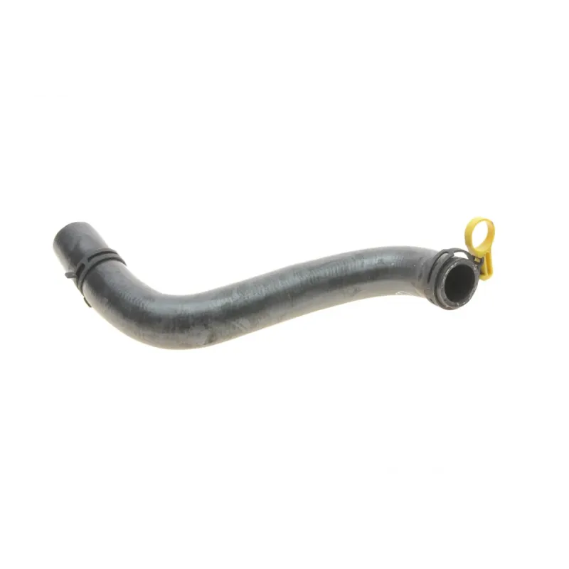 Патрубок радіатора (нижній) Ford Fiesta 1.25-1.6 16V 01-08 (R)