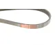 Ремінь генератора GATES 4PK1183 для Renault Express 1.4i 1991-1998, 1183 мм