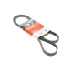 Ремінь генератора GATES 4PK1510 для Ford Transit 2.5D 1994-2000, 1510 мм