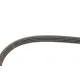 Ремінь генератора Nissan Almera/Primera/Sunny 1.0-5.0 82-