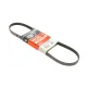 Ремінь генератора Ford Focus III/IV 2.0 ST/2.3 RS 12- (4PK890)