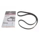 Ремінь ГРМ Opel Kadett E/Omega B/Vectra A/B/C 1.2-3.2 93-03