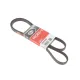 Ремінь генератора GATES 5PK1590 для VW Passat B5 1.9 TDI 1996-2000, 1590 мм