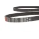 Ремінь генератора GATES 5PK1800 для Hyundai Accent, Kia Rio 1.5 CRDi 2005-2010, 1800 мм