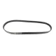Ремінь генератора GATES 5PK890 для BMW 3/5 E36/E34/E39, Ford Focus II 2.5, 890 мм