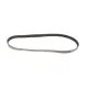 Ремінь генератора GATES 6PK1019SF для Ford Fiesta, Focus, C-Max 1.2-1.6LPG 1019 мм