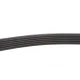 Ремінь генератора Renault Kangoo 1.9dTi/dCi 01- (Gates)