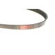 Ремінь генератора Citroen C5/Jumpy/Peugeot 3008/5008/Expert 2.0BlueHDI 16-