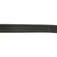 Ремінь генератора Citroen Berlingo 1.6 00-08/ Nemo 1.4i 08-