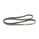 Ремінь генератора Infiniti FX/M45/Lexus GS/Mitsubishi Outlander 1.8-4.5 93-