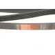 Ремінь генератора Infiniti FX/M45/Lexus GS/Mitsubishi Outlander 1.8-4.5 93-
