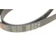 Ремінь генератора GATES 6PK2005 для Mercedes-Benz C-Class W204/E-Class W212 2.2D OM651, 2005 мм
