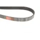 Ремінь генератора GATES 6PK2603 для Jeep Grand Cherokee II 2.7 CRD 2001-2005, 2603 мм