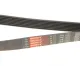 Ремінь генератора GATES 7PK1550 для Toyota Camry 3.5 V6 2011-2017, Lexus GS/IS/ES 2.5-3.5 2005-, 7 ребер, 1550 мм