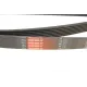 Ремінь генератора GATES 7PK2080 для Honda Accord VIII 2.0i 2008-, Land Rover Range Rover II 3.9-4.6 1994-2002, 2080 мм