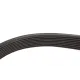 Ремінь генератора GATES 8DPK1445 для Land Rover Discovery/Range Rover 1445 мм