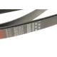 Ремінь генератора GATES 8PK2410 для Toyota Land Cruiser 4.6 V8 2010-, Lexus GX 460 2009-