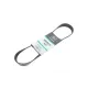 Ремінь генератора Man TGA 00-/ E2000 95-00 (8PK880)