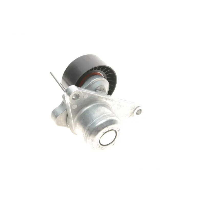 Комплект ременя генератора Renault Megane II/III 2.0 dCi 05- (7PK1705)