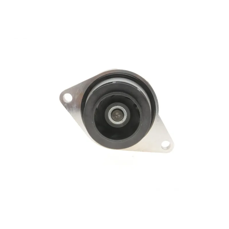 Комплект ГРМ + помпа VW Caddy/Golf/Seat Ibiza/Skoda Octavia 1.6 92-04 (19x137z)