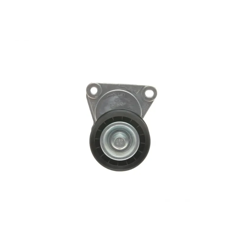 Натяжник ременя генератора GATES T38204 для Ford Mondeo III 2000-2007, Galaxy WA6 2006-2015, 73x29x8 мм