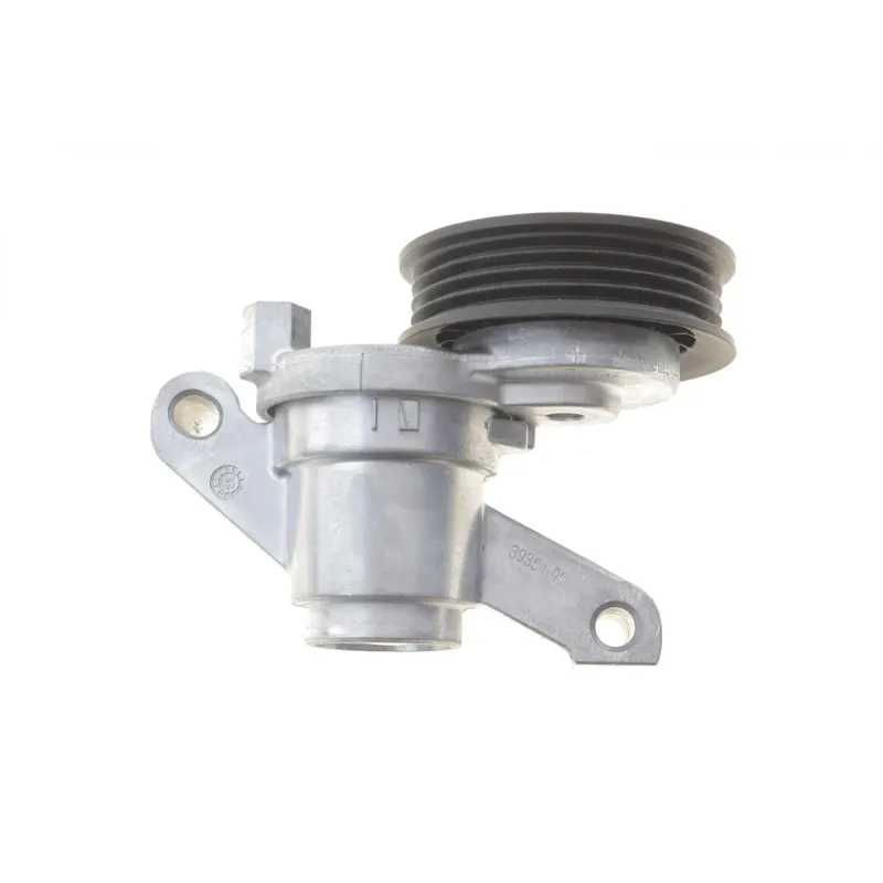 Натяжник ременя генератора GATES T39351 для Ford Transit Connect, Focus, Escape, 70x22 мм