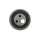 Ролик ГРМ Renault Kangoo 1.4/1.6 97- (натяжний) (55x22)