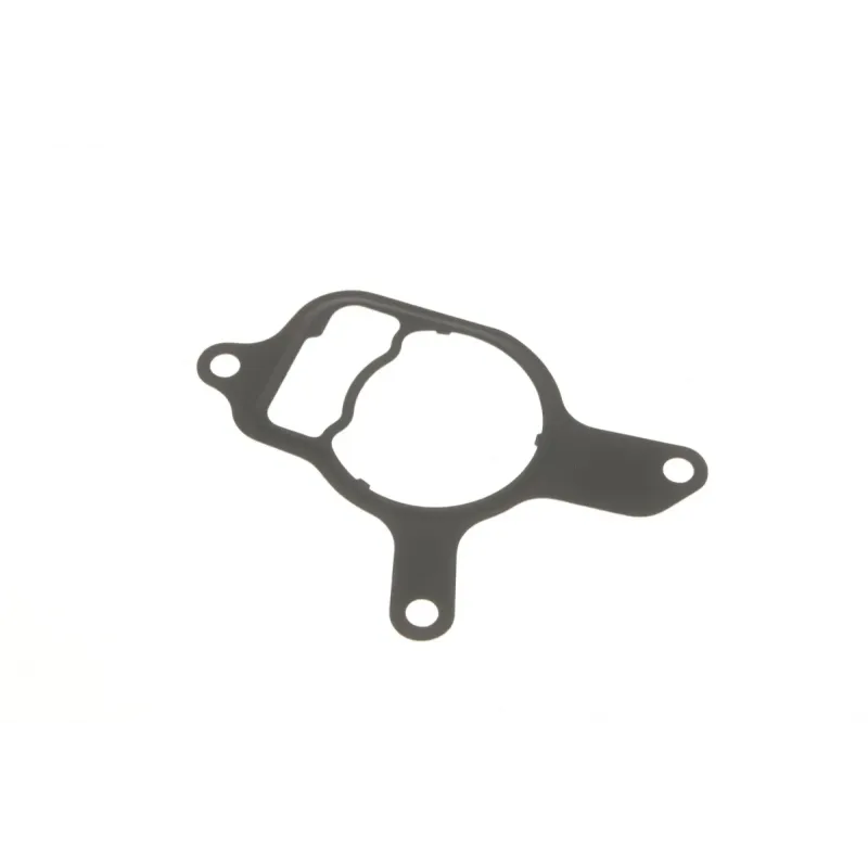 Прокладка насоса вакуумного VW Golf VI/Jetta III/IV 2.5 06- (к-кт)