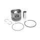 Поршень двигуна GAZO GZ-F1684 для Citroen Jumper, Peugeot Boxer 2.2HDi 2006-, 86.00mm STD