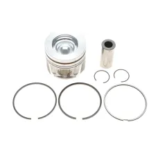 Поршень Citroen C3/C4/Berlingo/Peugeot 308/508/Partner 1.6 BlueHDi 14- (75.00mm/STD)