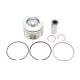 Поршень Citroen C3/C4/Berlingo/Peugeot 308/508/Partner 1.6 BlueHDi 14- (75.00mm/STD)