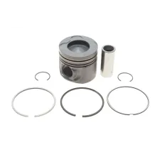 Поршень BMW 5 (E60) 05-10/X5 (E70) 3.0d (M57) 06-10 (84.00mm/STD)