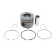 Поршень BMW 5 (E60) 05-10/X5 (E70) 3.0d (M57) 06-10 (84.00mm/STD)