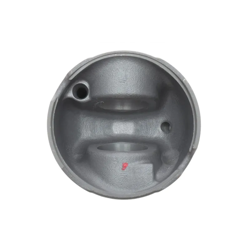 Поршень BMW 5 (E60) 05-10/X5 (E70) 3.0d (M57) 06-10 (84.00mm/STD)