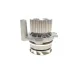 Комплект ГРМ + помпа VW Crafter/Caddy/Passat/Golf/Audi/Skoda/Seat 1.2-1.6-2.0TDI 09-(160х25)(PA1089)