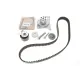 Комплект ГРМ + помпа Renault Kangoo/Laguna/Megane/Scenic/Duster/Nissan 1.5dCi 09- (123x27) (PA1091)