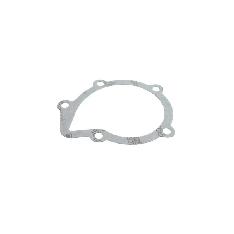Комплект ГРМ + помпа Citroen/Peugeot 2.0HDI 99-06/Fiat Scudo/Ducato 2.0JTD 01-06 (141x25.4) (PA747)