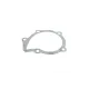 Комплект ГРМ + помпа Citroen/Peugeot 2.0HDI 99-06/Fiat Scudo/Ducato 2.0JTD 01-06 (141x25.4) (PA747)