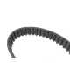 Комплект ГРМ + помпа Citroen/Peugeot 2.0HDI 99-06/Fiat Scudo/Ducato 2.0JTD 01-06 (141x25.4) (PA747)