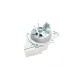Комплект ГРМ + помпа Citroen/Peugeot 2.0HDI 99-06/Fiat Scudo/Ducato 2.0JTD 01-06 (141x25.4) (PA747)