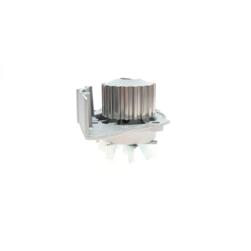 Комплект ГРМ + помпа Citroen/Peugeot 2.0HDI 99-06/Fiat Scudo/Ducato 2.0JTD 01-06 (141x25.4) (PA747)
