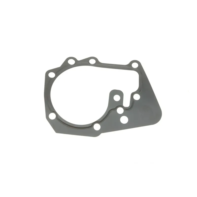 Помпа води Renault Kangoo/Megane/Logan/Scenic/Dacia Sandero 1.4/1.6 97- (20z)(B/B)(8лоп)