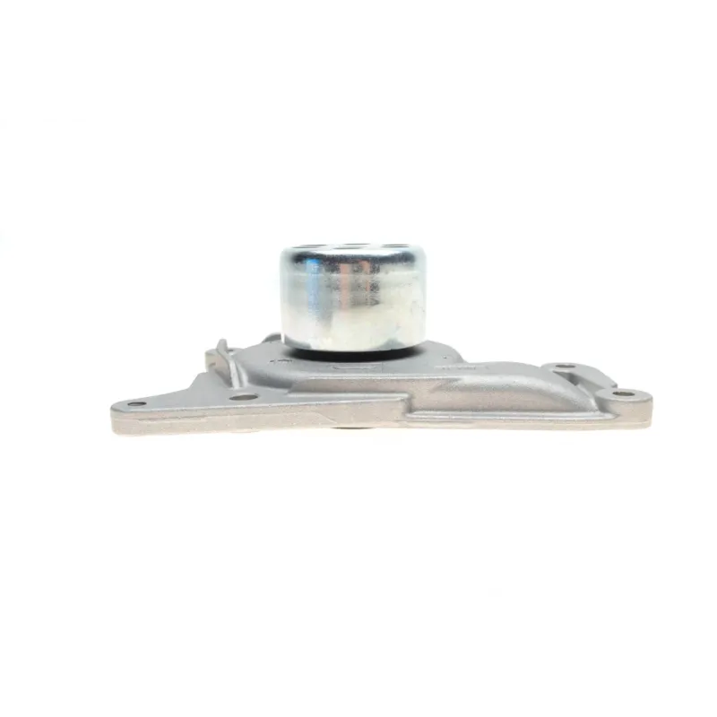 Помпа води Renault Kangoo/Clio/Duster/Laguna/Megane/Nissan Qashqai/Juke/MB 1.5dCi 09- (Ext.)(12лоп)
