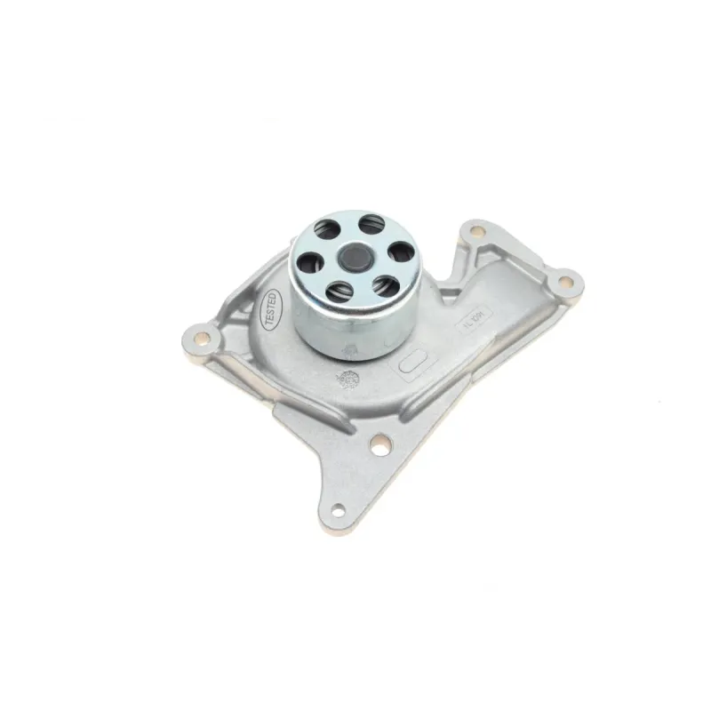 Помпа води Renault Kangoo/Clio/Duster/Laguna/Megane/Nissan Qashqai/Juke/MB 1.5dCi 09- (Ext.)(12лоп)